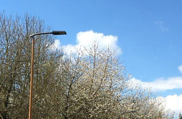 Wooden Pole Effect with Streetlight Wooden Pole Effect with Streetlight